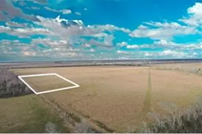 Tbd Boswick, Liverpool, TX 77577 - Photo 24