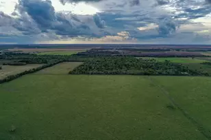 Tbd Boswick, Liverpool, TX 77577 - Photo 8