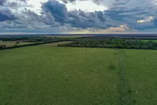 Tbd Boswick, Liverpool, TX 77577 - Photo 6