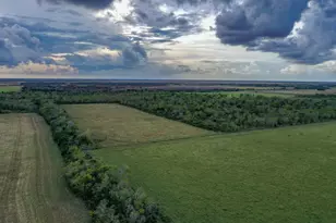 Tbd Boswick, Liverpool, TX 77577 - Photo 12