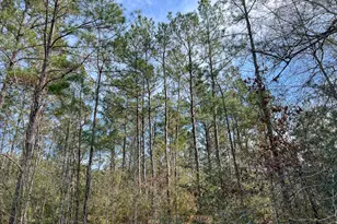 T2 Zavalla Rd, Mauriceville, TX 77626 - Photo 1
