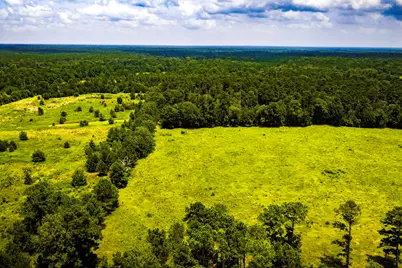 Tbd 1375 Road E, New Waverly, TX 77358 - Photo 14