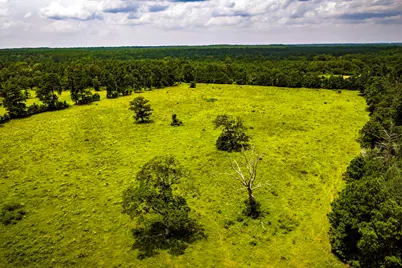 Tbd 1375 Road E, New Waverly, TX 77358 - Photo 8