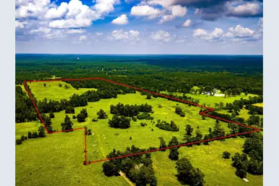 Tbd 1375 Road E, New Waverly, TX 77358 - Photo 1