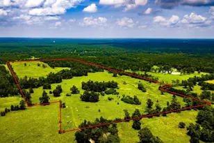 Tbd 1375 Road E, New Waverly, TX 77358 - Photo 1