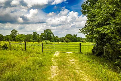Tbd 1375 Road E, New Waverly, TX 77358 - Photo 2