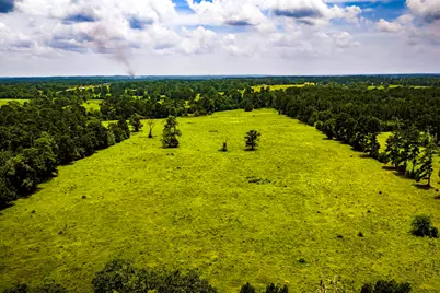Tbd 1375 Road E, New Waverly, TX 77358 - Photo 12