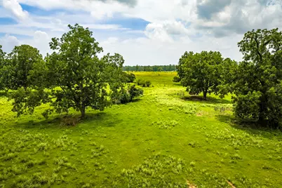 Tbd 1375 Road E, New Waverly, TX 77358 - Photo 28