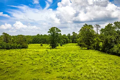 Tbd 1375 Road E, New Waverly, TX 77358 - Photo 32