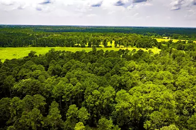 Tbd 1375 Road E, New Waverly, TX 77358 - Photo 24