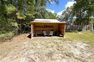 294 Canadian Dr, Trinity, TX 75862 - Photo 36