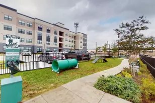 1148 Silber Rd, Houston, TX 77055 - Photo 22