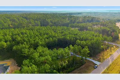 15516 Forest Grove Drive, Willis, TX 77378 - Photo 42