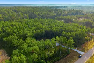 15516 Frst Grv Dr, Willis, TX 77378 - Photo 42