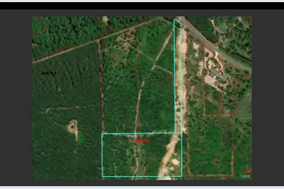 17224 Fm 943, Livingston, TX 77351 - Photo 1