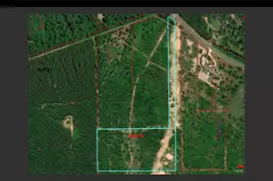 17224 FM943, Livingston, TX 77351 - Photo 1