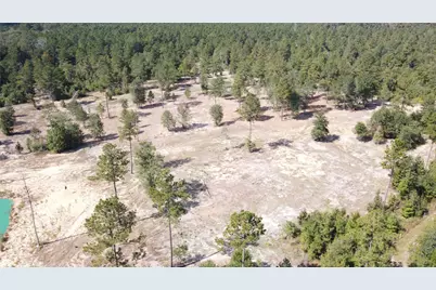 17224 Fm 943, Livingston, TX 77351 - Photo 6