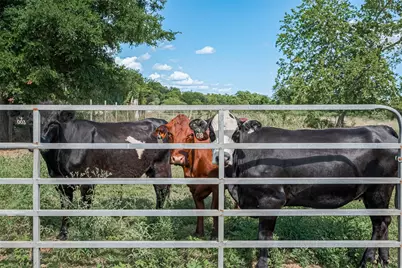 2511 Hartwell Road, Pattison, TX 77423 - Photo 26