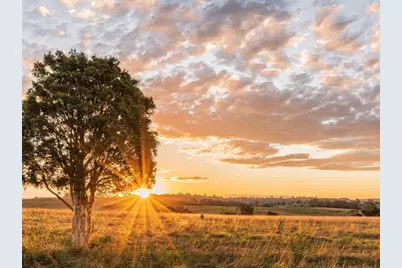 Lot 66 121 Oak Hollow Court, Cat Spring, TX 78933 - Photo 1