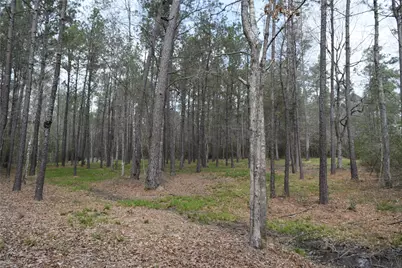 309 Exploration Road, Willis, TX 77378 - Photo 10