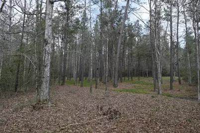 309 Exploration Road, Willis, TX 77378 - Photo 12