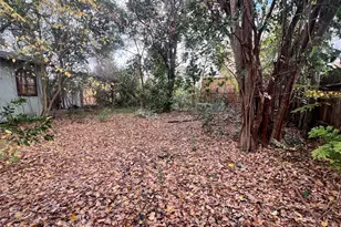 514 W Main St, Houston, TX 77006 - Photo 16