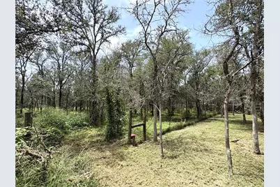 153 Carissa Lane, Red Rock, TX 78662 - Photo 14