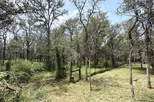 153 Carissa Ln, Red Rock, TX 78662 - Photo 14