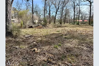 Tbd Bugger Bat, Trinity, TX 75862 - Photo 8