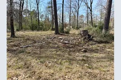 Tbd Bugger Bat, Trinity, TX 75862 - Photo 4