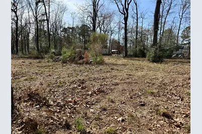 Tbd Bugger Bat, Trinity, TX 75862 - Photo 2