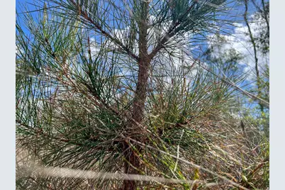 1 Fm 2827, Warren, TX 77664 - Photo 10