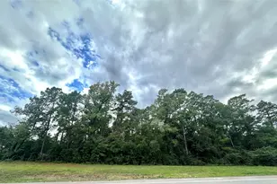 Tbd 1314, Conroe, TX 77302 - Photo 1