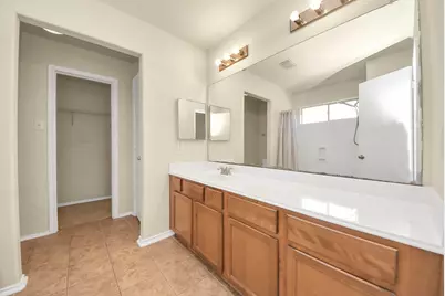 14423 Hillard Green Lane, Houston, TX 77047 - Photo 18