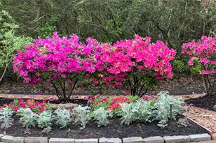 10 Riata Dr, Magnolia, TX 77354 - Photo 10