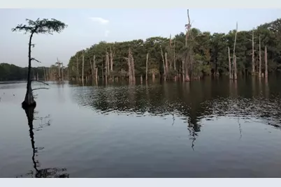 454 Lakeview Drive, Cleveland, TX 77327 - Photo 6