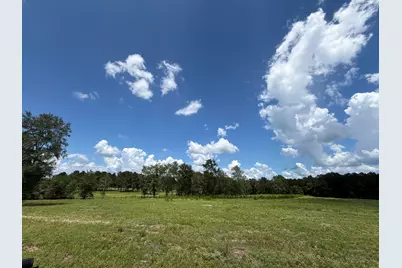 Tbd N County Road 4050, Lovelady, TX 75851 - Photo 6