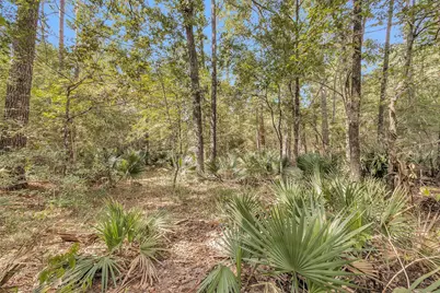 50 Firewood Road, Huntsville, TX 77340 - Photo 8