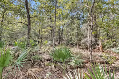 50 Firewood Road, Huntsville, TX 77340 - Photo 6