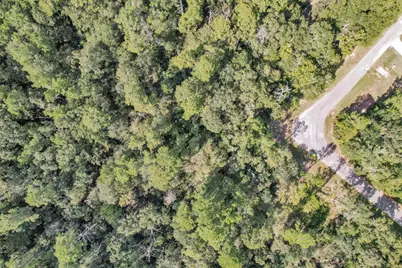 50 Firewood Road, Huntsville, TX 77340 - Photo 14