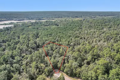 50 Firewood Road, Huntsville, TX 77340 - Photo 1