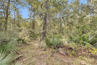 50 Firewood Road, Huntsville, TX 77340 - Photo 10