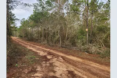 Lot 5 Pin Oak Drive, Plantersville, TX 77363 - Photo 12