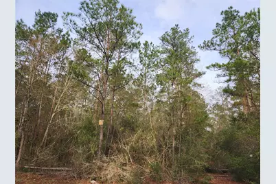 Lot 5 Pin Oak Drive, Plantersville, TX 77363 - Photo 6