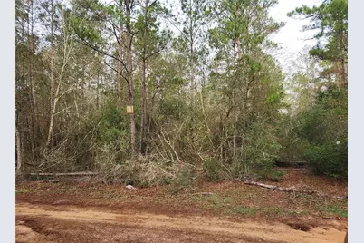 Lot 5 Pin Oak Drive, Plantersville, TX 77363 - Photo 10