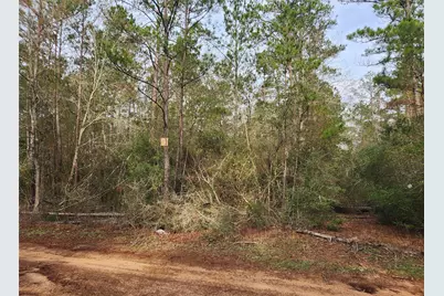 Lot 5 Pin Oak Drive, Plantersville, TX 77363 - Photo 8