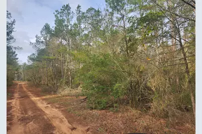 Lot 5 Pin Oak Drive, Plantersville, TX 77363 - Photo 2