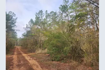 Lot 5 Pin Oak Drive, Plantersville, TX 77363 - Photo 4