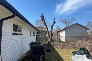 4511 Alvin St, Houston, TX 77051 - Photo 12