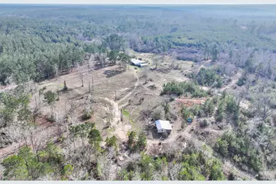 1202 County Road 1099, Wiergate, TX 75977 - Photo 4